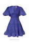 Lapis Zimmermann Pleated Mini Dress Dresses