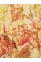 Yellow Hibiscus Zimmermann Matchmaker Flutter Midi Dress Dresses