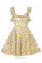 Citrus Garden Print Zimmermann Harmony Frilled Mini Dresses