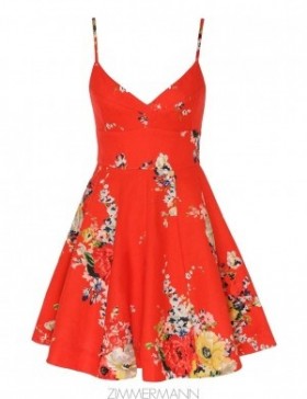 Red Floral Zimmermann Alight Flare Mini Dress Clothing