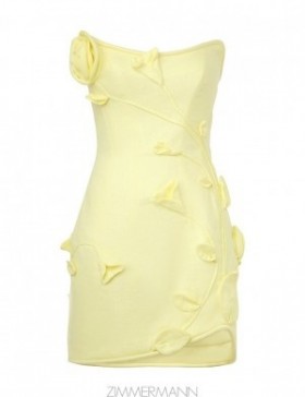 Lemon Zimmermann Matchmaker Rose Mini Dresses