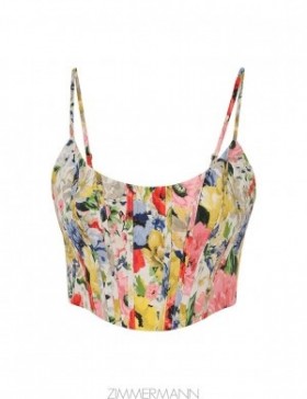 Ivory Floral Zimmermann Alight Corset Top Clothing