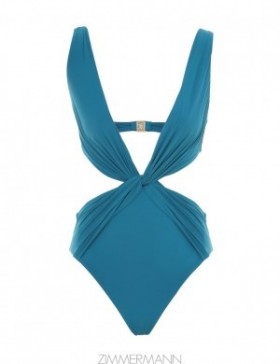 Petrol Zimmermann Acadian Twist Front Plunge 1PC One Pieces