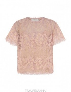 Orchid Zimmermann Harmony Lace Top Tops