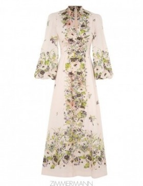 Cream Multi Floral Zimmermann Halliday Plunge Midi Dress Clothing