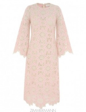Cream/Pink Zimmermann Ottie Lace Midi Dress Clothing