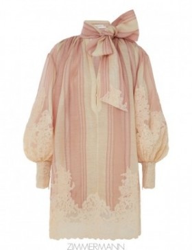 Pink/Cream Stripe Zimmermann Natura Lace Edge Tie Mini Dresses