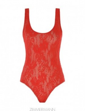 Tomato Zimmermann Lace Scoop Bodysuit Tops