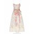 Kaleidoscope Garden Zimmermann Natura Corset Midi Dress Dresses